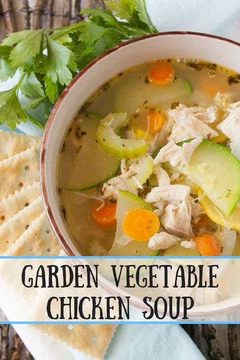 Vegetable Chicken Soup, Chicken And Veg Soup, Garden Vegetable Soup, Chicken Veggie Soup, Chicken Vegetable Soup, Vegetable Soup Healthy, Vegetable Soup With Chicken, Veg Soup, Chicken Vegetable