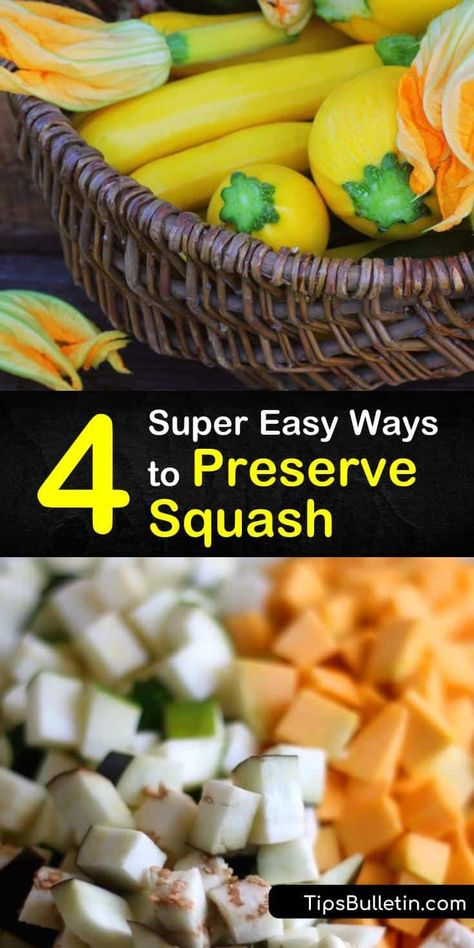 How To Store Acorn Squash For Winter, Acorn Squash Freezing, How To Store Squash For Winter, How To Store Squash, How To Preserve Squash, Canning Squash In Water Bath, How To Can Squash, How To Freeze Squash, Preserving Squash