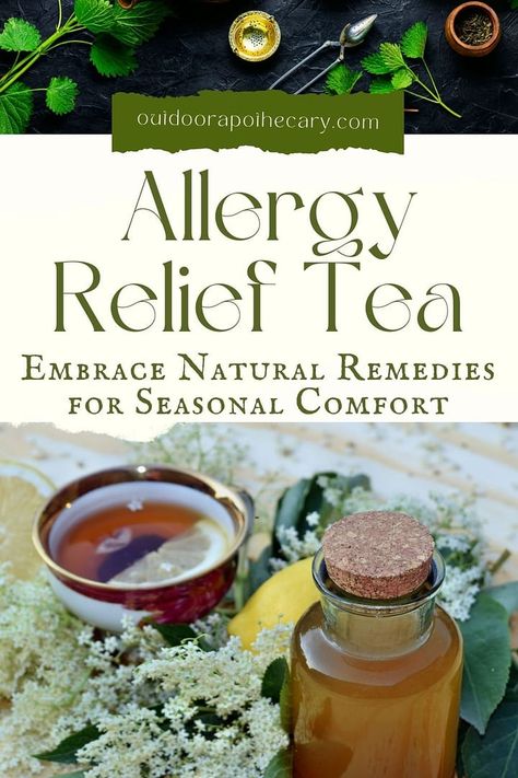 allergy relief tea Elderflower Tea Recipe, Herbs For Allergies, Outdoor Apothecary, Elderflower Tea, Teas Recipes, Tea Remedies, Medicinal Tea, Healing Tea, Herbal Teas Recipes