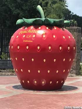 Ponchatoula, La - Giant Strawberry. Ponchatoula Louisiana, Big Strawberry, Carousel Birthday Parties, Giant Strawberry, Carousel Birthday, Louisiana Museum, Heritage Museum, Holy Mary, Well Lights