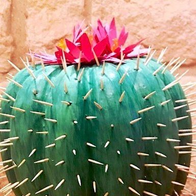 Taylor Gunn on Instagram: "#tbt to last year’s painted pumpkin! This year my son has requested we do a combo shark/ race car pumpkin 🤔 Send ideas please! #paintedpumpkins #cactus" Rainbow Pumpkin Painting Ideas, Horse Pumpkin Decorating, Cactus Pumpkin Decorating, Football Pumpkin Decorating, Flamingo Pumpkin Decorating, Patriotic Pumpkin Ideas, Styrofoam Pumpkin Ideas, Dolly Parton Pumpkin, Cactus Pumpkin Painting