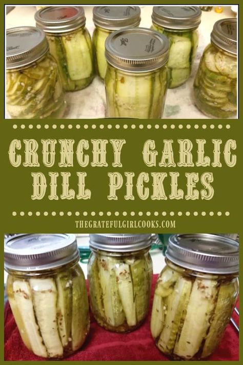 Make Garlic Dill Pickles the "old-fashioned way" or use more current way (water bath) to can a few jars of pickles with summer's bounty./ The Grateful Girl Cooks! Pickles Refrigerator, Easy Pickles, Homemade Dill Pickles, Making Dill Pickles, Refrigerator Pickles Dill, Garlic Dill Pickles, Homemade Pickles Dill, Kosher Dill Pickles, Pickle Recipes Homemade