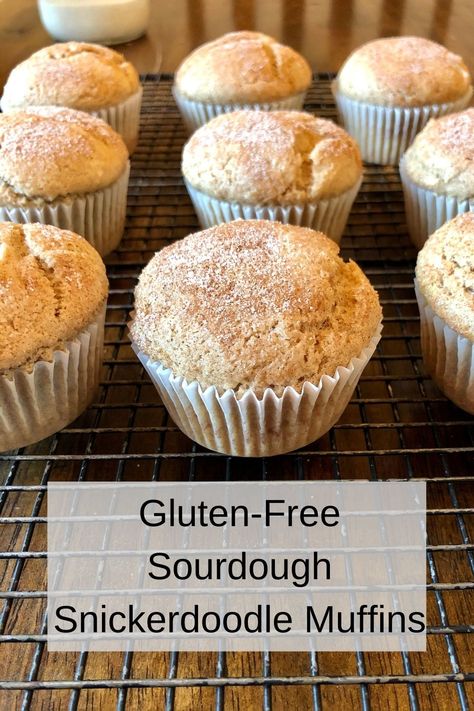 Gluten Free Sourdough Starter Discard Recipes, Gluten Free Sourdough Muffins, Gluten Free Sour Dough Recipes, Gluten Free Sourdough Cookies, Gluten Free Discard Recipes, Sourdough Discard Recipes Gluten Free, Gf Sourdough Discard Recipes, Juniper Recipes, Gluten Free Sourdough Recipes