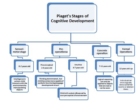 Piaget Stages Of Development, Piaget Theory, Child Development Psychology, Social Work Exam, Child Development Theories, Child Development Stages, Human Growth And Development, Educational Theories, Writing Development