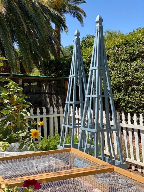 Obelisk Trellis Diy How To Build, Plant Climbing Wall, French Blue Paint, Obelisk Trellis, Build A Garden, Backyard Swings, Garden Obelisk, Rose Trellis, Diy Trellis