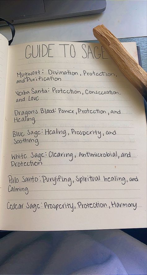 Sage Witchcraft Uses, Different Sage Meanings, Red Sage Benefits, Sage Types And Uses, Sage Meaning, Sage Meaning Witchcraft, White Sage Benefits, Witches Symbols, Types Of Sage For Smudging