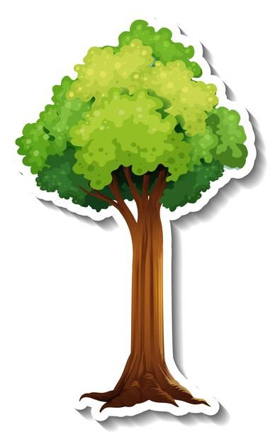 Tree Cartoon Images, Trees Stickers, Trees Photos, Tree Props, Background Tree, Tree Cut Out, Wood Leaf, Jungle Tree, Safari Baby Animals