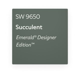 Sw Succulent, Succulent Paint Color, Succulent Color Palette, Succulent Painting, Lake Ideas, Neutral Paint Color, Neutral Paint Colors, Sherwin Williams Paint Colors, Neutral Paint