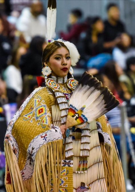 Powwow Dancers, Native American Hair, Native American Dance, Native American Dress, Native American Woman, Native American Regalia, Native American Clothing, Western Comics, American Hairstyles