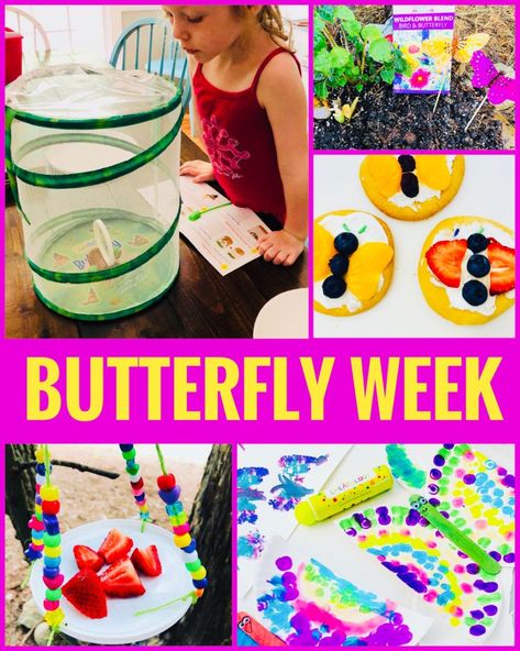 Butterfly Week Crafts and Activities for Kids - Fun theme for summer camp! Butterfly Themed Activities For Preschool, Butterfly Theme For Preschool, Butterflies For Kindergarten, Butterfly And Caterpillar Activities, Pre K Butterfly Activities, Butterfly Week Preschool, Butterfly Theme Preschool Activities, Montessori Butterfly Activities, Butterfly Lessons For Kindergarten