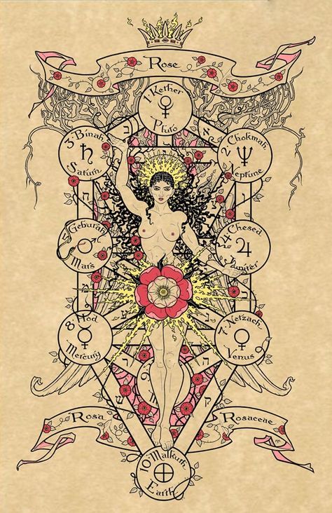 Esoteric Symbols, Alchemy Art, Magick Symbols, Sacred Science, Alchemy Symbols, Esoteric Art, Magick Book, Magic Symbols, Spirit Science