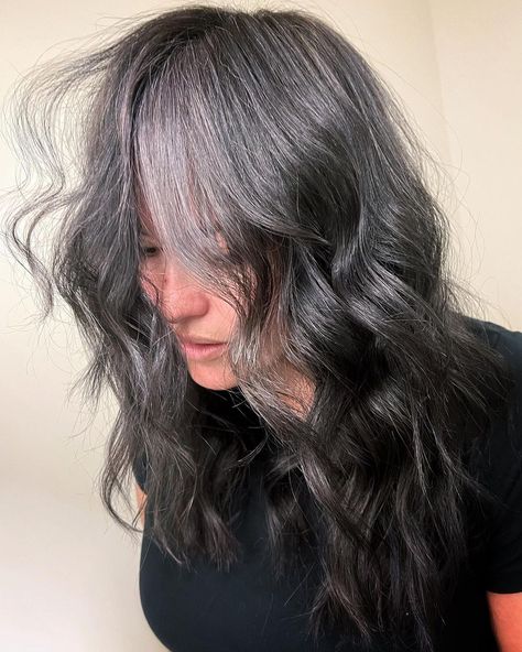 Silver Babylights in Black Hair for Gray Blending Reverse Ombre Silver Gray Hair, Reverse Highlights For Grey Hair, Transitioning To Gray Hair From Black, Gray Roots Blending Black Hair, Grey Babylights On Dark Hair, Gray Blending Black Hair, Silver Babylights On Dark Hair, Icy Blonde Ombre, Silver Babylights