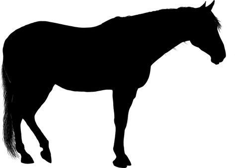 View full size American Quarter Horse American Paint Horse Stallion - Standing Horse Silhouette Clipart  and download transparent clipart for free! Like it and pin it. Standing Horse, Horse Stencil, American Paint Horse, Painted Horses, Pencil Drawings For Beginners, Free Horses, Paint Horse, American Paint, Unicorn Illustration