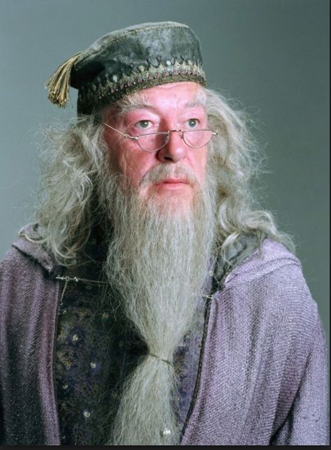 Albus Dumbledore Albus Dumbledore Costume, Dumbledore Costume, Harry Potter Creatures, Hogwarts Professors, Harry Potter Dumbledore, Michael Gambon, Peter Pettigrew, Harry Potter Wedding, The Prisoner Of Azkaban