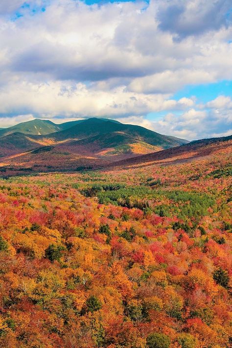 The White Mountains of New Hampshire are a stunning natural wonder. They offer everything from snow-covered peaks to tranquil lakes and ponds. The Lincoln region of the White Mountain National Forest is one of the most popular destinations in all of New England for outdoors enthusiasts, offering both scenic beauty and opportunities for recreation. 📸: Mark Mccollom #travel #traveldestination #aesthetic #Traveltips New Hampshire Aesthetic, Lincoln New Hampshire, Vermont Mountains, White Mountains New Hampshire, White Mountain National Forest, Mountain Aesthetic, Northeast Region, Pretty Landscapes, White Mountains