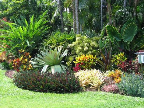 Les jardins tropicaux rappellent l’été et le bord de mer des pays exotiques. Il est néanmoins possible de récréer ce type d’écosystème sous nos latitudes. Ci... Circle Garden, Small Tropical Gardens, Hawaii Landscape, Florida Native Plants, Balinese Garden, Tropical Landscape Design, Florida Landscaping, Florida Plants, Tropical Garden Design