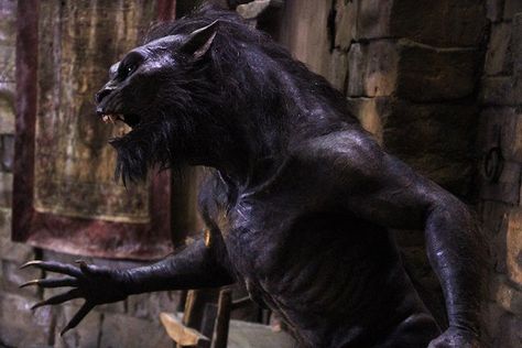 Underworld Lycans, Dogman Encounters, Hollywood Monsters, The Underworld, Classic Monsters, Movie Monsters, Underworld, Creature Design, Walkers