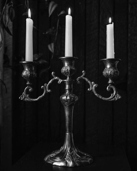 Victorian Candles, Gothic Candle Holder, Gothic Candles, Wedding List, Victorian Decor, 문신 디자인, Princess Aesthetic, Gothic Home Decor, Candle Magic