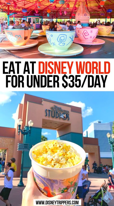 Eat at Disney World for under $35/day Disney World Cheap, How To Eat Cheap, Best Disney World Food, Eat Cheap, Food Disney, Disney Cheap, Disney On A Budget, Disney World Vacation Planning, Family Disney Trip