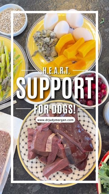 Dr. Judy Morgan’s Naturally Healthy Pets on Instagram: "Tis the season 🌟 Having Cavaliers and English Toy Spaniels, my Heart Support Diet is commonly needed in my house. 🫀 Check out my Free PDF Downloads and recipes at the LINK IN BIO. Learn more about Food Therapy in my book, Yin & Yang Nutrition for Dogs 📕 ▶️ Watch the full video on YouTube @drjudymorgan #drjudymorgan #naturallyhealthypets #homemadedogfood #homemadecatfood #dogfood #catfood #holisticvet #naturalvet" Dr Judy Morgan Recipes, Protein Rich Diet, Homemade Cat Food, Cardiac Diet, Pet Nutrition, English Toy Spaniel, Natural Diet, Food Therapy, Healthy Dog Food Recipes