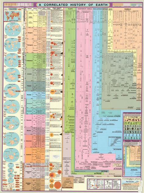 Pillars Of The Earth, Geologic Time Scale, Survival Skills Emergency Preparedness, Ley Lines, Boat Navigation, History Of Earth, History Infographic, Visual Map, Goddess Symbols