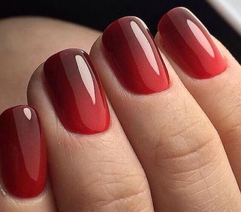 French Valentines Day, French Valentines, Cute Red Nails, Cute Nail Ideas, American Nails, Unghie Sfumate, Holiday Nails Christmas, Red Nail Art, Nail Colors Winter