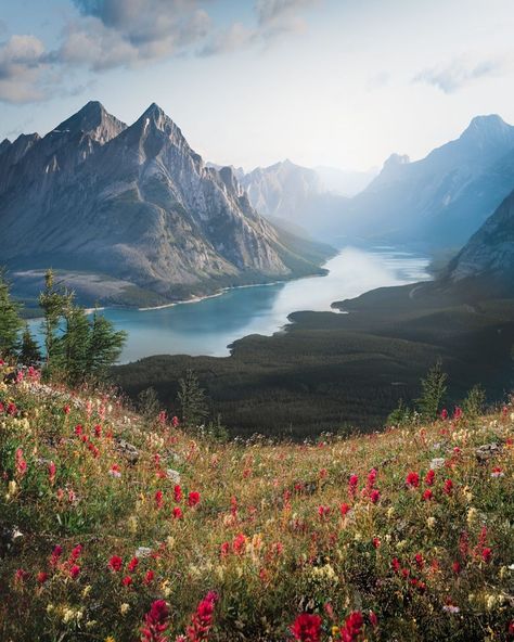 Banff, Alberta with Jess Bonde Banff Aesthetic, References For Painting, Radiate Positive Energy, Nature Photography Flowers, Banff Alberta, Photography Flowers, The Gifted, Beautiful Images Nature, Photo Nature