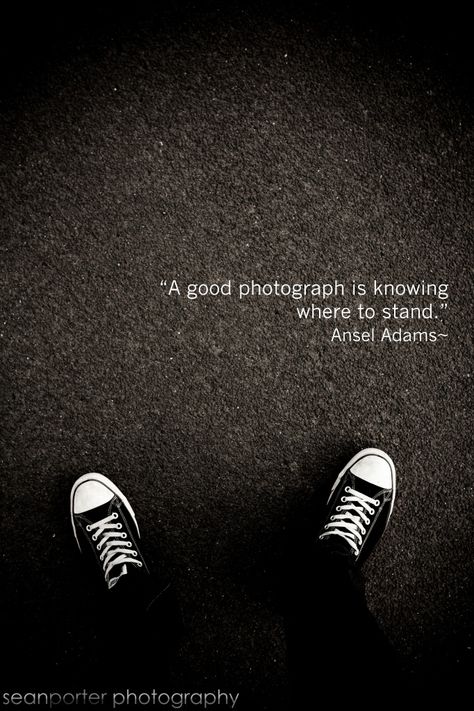 Ansel Adams Photography - Ansel Adams ( 1902 - 1984 ) More At FOSTERGINGER @ Pinterest Camera Quotes, Photographer Quotes, Ideas For Photography, Camera Man, Photography Quotes, Beautiful Food Photography, Bw Photography, Quotes About Photography, Famous Photographers