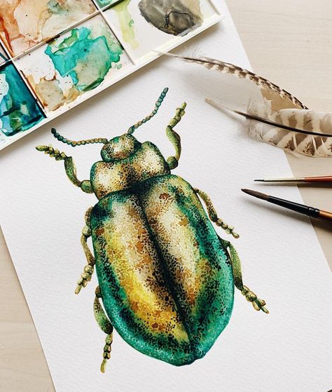 Insect Watercolor Painting, Watercolor Bugs Insects, Watercolor Beetle, Bugs Painting, Insects Watercolor, Insects Drawing, Watercolor Bugs, Bug Watercolor, Bug Illustration