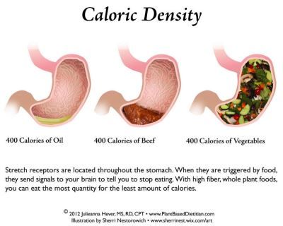 Caloric density - it is SIMPLE and delicious to eat this way, and makes so much sense! Caloric Density, Muscle Building Foods, Fat Loss Foods, High Fiber Foods, Lose 30 Pounds, Fiber Foods, Diet Vegetarian, Vegan Diet, Plant Based Diet