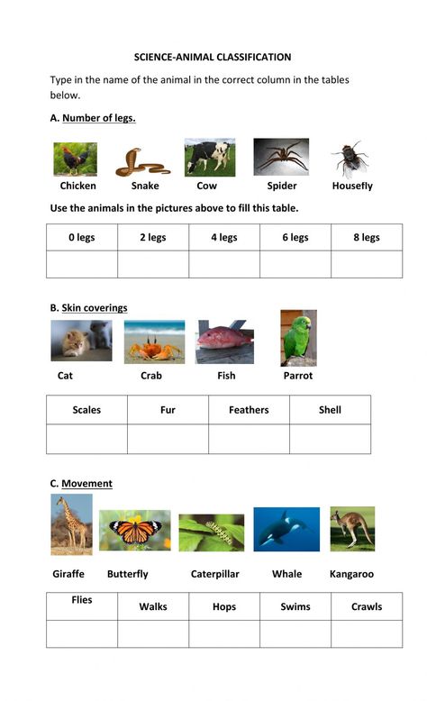 Animal Adaptations Worksheet, Classification Of Animals Worksheet, Animal Classification For Kids, Animals Classification, Animal Classification Activity, Animal Classification Worksheet, Classification Of Animals, Resturant Menu, Carl Linnaeus