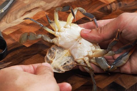 How to Clean Soft-Shell Crabs | Serious Eats Every Restaurant that serves Soft Crabs should be required to read this!! Soft Shell Crab Recipe, Soft Shell Crab, Crab And Lobster, Crab Recipes, Blue Crab, Serious Eats, Crab Cakes, Stuffed Shells, Fish Dishes