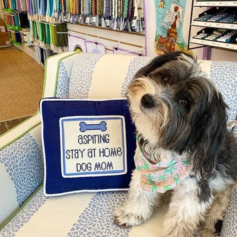 Forget aspiring stay at home dog mom, some days Mr. Ohs wishes he was an aspiring stay at home dog 💜 beautifully stitched pillow by @mjfoery Stay At Home Dog Mom, Home Dog, August 28, Stay At Home, Dog Days, Dog Mom, Needlepoint, At Home, Instagram Photos