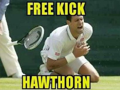 Novak Djokovic thinks he’s just won Wimbledon. Free Kick Hawthorn. Hawthorn Football Club, Online Doctor, Free Kick, Football Memes, Novak Djokovic, Hilarious Memes, Wimbledon, Hawks, Medical Advice