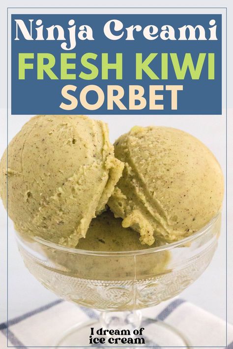 Transform fresh kiwi into a delicious frozen treat with this easy Ninja Creami kiwi sorbet recipe! Kiwi Sorbet Recipe, Kiwi Sorbet, Kiwi Ice Cream, Ninja Ice Cream Recipe, Kiwi Recipes, Sorbet Recipe, Canned Fruits, Making Homemade Ice Cream, Ninja Recipes