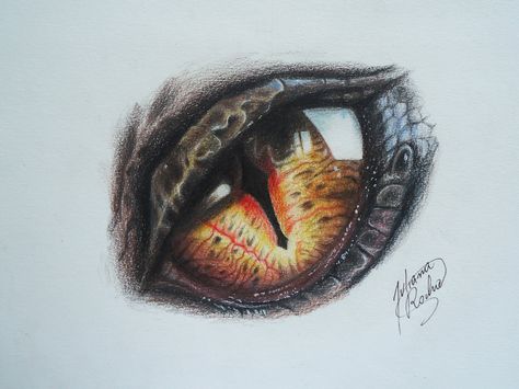 Smaug Drawing, Smaug Tattoo, Art Animals, Face Tattoo, Tattoo Stencils, Eye Drawing, Lord Of The Rings, Tolkien, The Hobbit