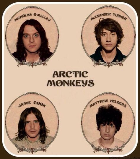 The Arctic Monkeys, Monkey Memes, Arctic Monkeys Wallpaper, Alex Arctic Monkeys, Monkey Wallpaper, The Last Shadow Puppets, Last Shadow, Monkey 3, Artic Monkeys