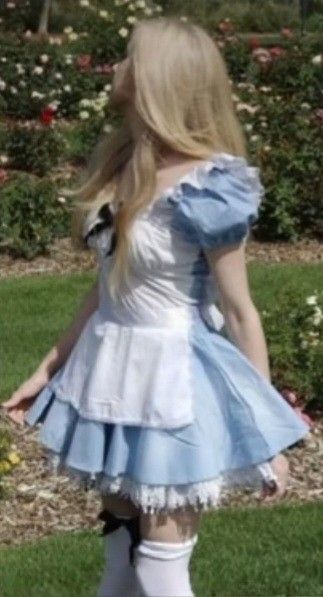 Alice Costume Women, Homemade Alice In Wonderland Costume Diy, Dress Pics Aesthetic, Cute Alice In Wonderland Costume, Alice In Wonderland Costume Aesthetic, Blue Costume Diy, Alive In Wonderland Costumes, Alice In Wonderland Alice Costume, Alice In Wonderland Costume Ideas Diy