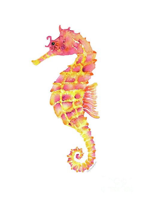 Sea Horse Painting, Sea Horse, Seahorse Art Illustration, Watercolour Seahorse, Pink Seahorse, Seahorse Watercolour Painting, Sea Horses Illustration, Seahorse Drawing, Orange Seahorse