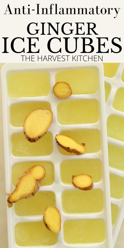 Ginger Ice Cubes, Ice Cubes Recipe, Ice Cube Recipe, Ginger Shots, Anti Inflammation Recipes, Harvest Kitchen, Ginger Shot, Ice Blocks, The Harvest