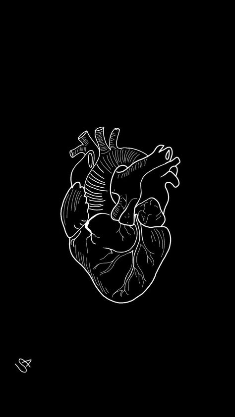 Heart Drawing Black And White, Heart Drawing Wallpaper, Drawing Black And White, Drawing Wallpaper, Drawing Black, Heart Drawing, Black And White Art, Human Heart, White Art