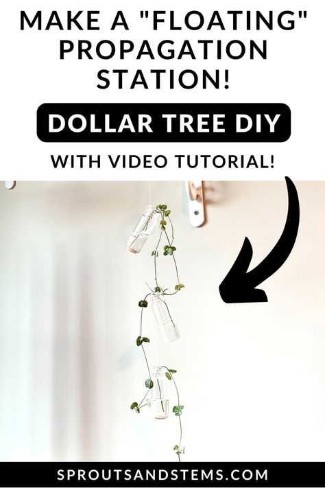 Diy Propagation Station Dollar Tree, Diy Plant Propagation Station, Propagation Station Diy, Diy Propagation Station, Plant Styling, Floating In The Air, Propagation Station, Plant Propagation, Plants Decor