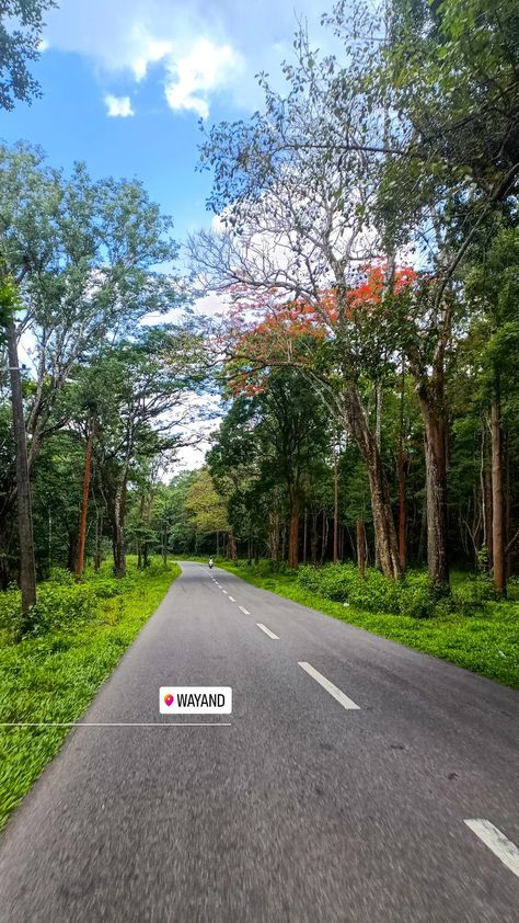 Wayanad Instagram Story, Wayanad Aesthetic, Nature Captions For Instagram, Morning Snap, Nature Captions, Snap Aesthetic, Geography Project, Story Filters, Aesthetic Story