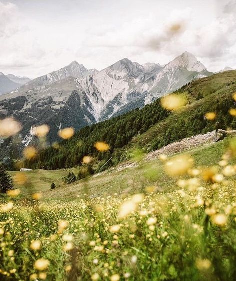 Book Vibes, Mountain Summer, Mountain Photos, The Mountains Are Calling, National Parks Trip, Spring Aesthetic, Give Back, Nature Landscape, Nature Aesthetic