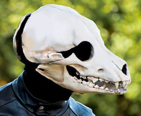 ericstrother I’ve always wanted this. Animal Skull Helmet, Animal Skull Mask, Animal Skull Mask Character Art, Crow Skull Mask, Skull Dog Mask, Canine Skull, Skull Cat Mask, Scarecrow Mask, Vulture Culture