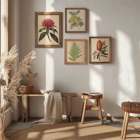 Transform your living space into a botanical haven with our stunning set of four vintage Australian flowers prints🌿🌺 https://botanicaprintshop.etsy.com #australianflowers #BotanicaPrints #TimelessArt #SophisticatedCharm #Floral #Australiannativeplants #vintagemodern #vintageart #rustic #rusticdecor #homedecor #wallart #wallartdecor #interiorstyling #waratah #wattle #fern #banksia Flowers Prints, Australian Flowers, Australian Native Plants, Nature Inspired Decor, Living Room Spaces, Country Charm, Timeless Art, Colorful Decor, Modern Vintage