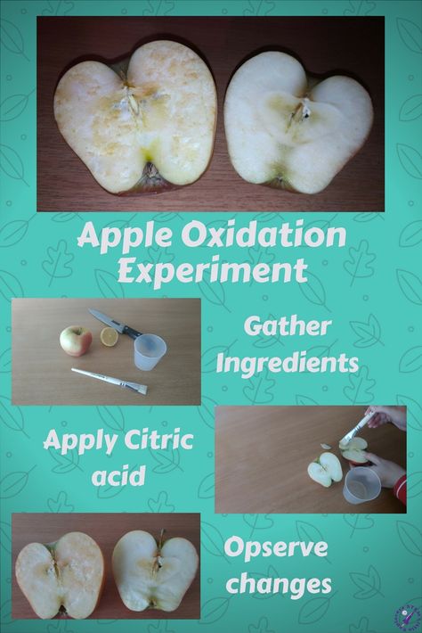 Kids Science Experiment, Kids Science, Stem Science, Science Experiment, Science Experiments Kids, Stem Activities, Teaching Science, Science For Kids, Science Experiments