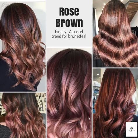 Rose Brown Hair, Brown Hair Cuts, Brown Hair Trends, Brown Hair Shades, Brown Ombre Hair, Hair Color Unique, Super Hair, Hair Solutions, Brown Hair With Highlights