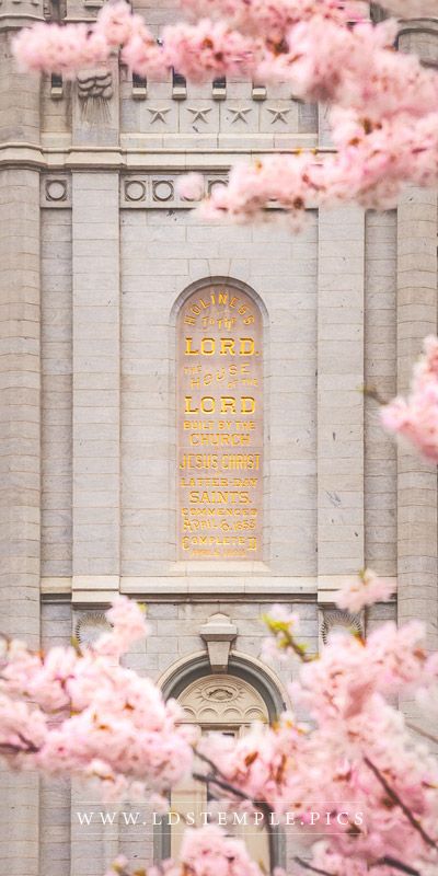 Lds Temple Wallpaper, Lds Wallpaper Iphone, Lds Pictures, Door Quotes, Lds Temple Pictures, Temple Lds, Mormon Temples, Salt Lake Temple, Temple Photography