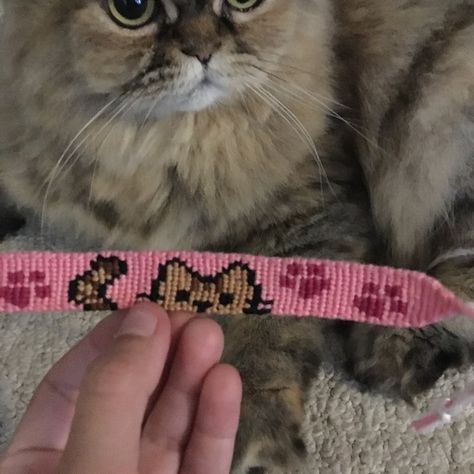 Cat Bracelet Pattern, Cat Friendship Bracelet Pattern, Cat Friendship Bracelet, Animal Bracelet Patterns, Cat Alpha Pattern, Matching Cat Bracelets, Cat Beaded Bracelet, Cats Alpha Pattern, Elsa Bracelet